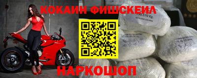 шишки Новодвинск