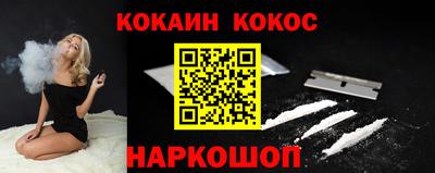 шишки Новодвинск