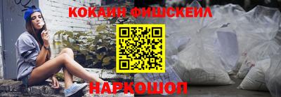 шишки Новодвинск