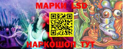 шишки Новодвинск