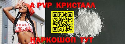 шишки Новодвинск