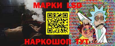 шишки Новодвинск