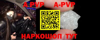 шишки Новодвинск
