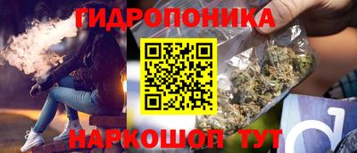 дживик Новозыбков