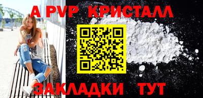 шишки Новодвинск
