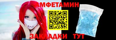 шишки Новодвинск