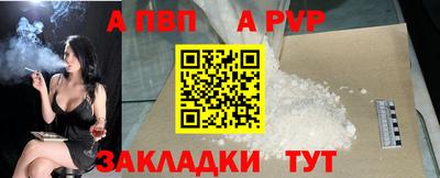 шишки Новодвинск