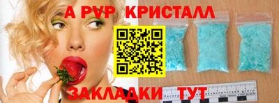 шишки Новодвинск