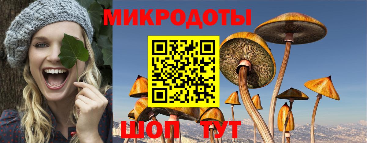 Галлюциногенные грибы мухоморы Электрогорск