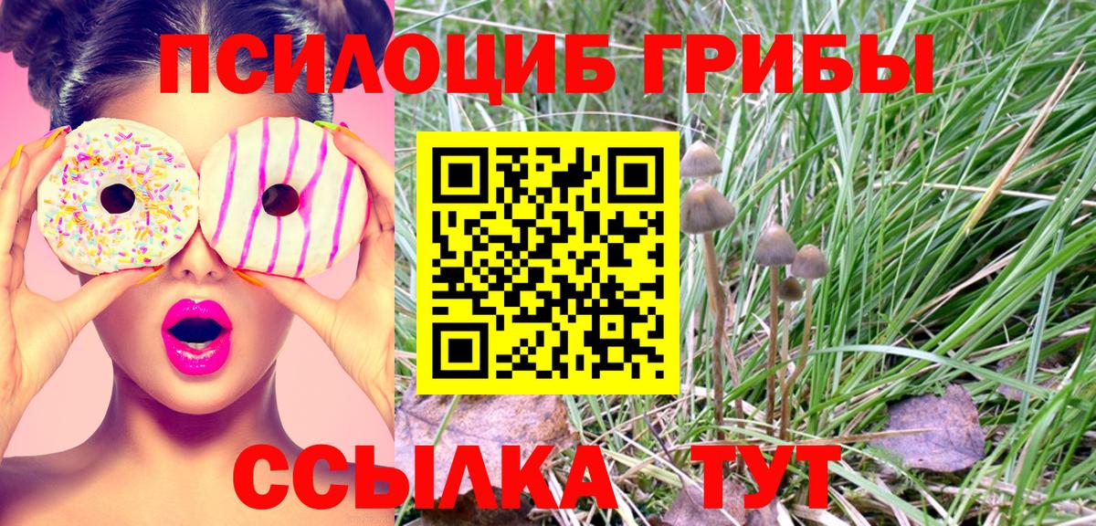 Электрогорск  Псилоцибиновые грибы MAGIC MUSHROOMS  Вход с VPN 